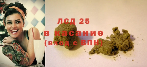PSILOCYBIN Алзамай