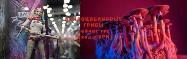 героин Алексин