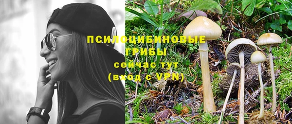 PSILOCYBIN Алзамай