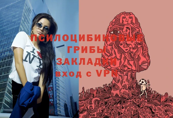 PSILOCYBIN Алзамай