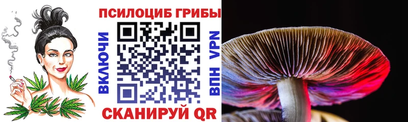 Галлюциногенные грибы ЛСД  Купить где  Жердевка 